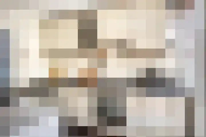 Kastanjelaan 51 Oss thumbnail 16