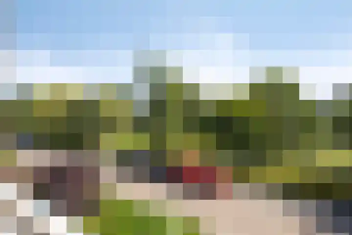 Kastanjelaan 51 Oss thumbnail 21