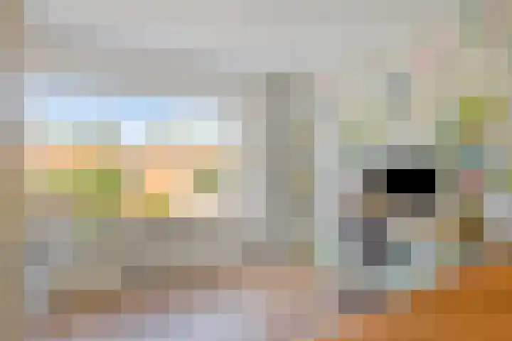Kastanjelaan 51 Oss thumbnail 26