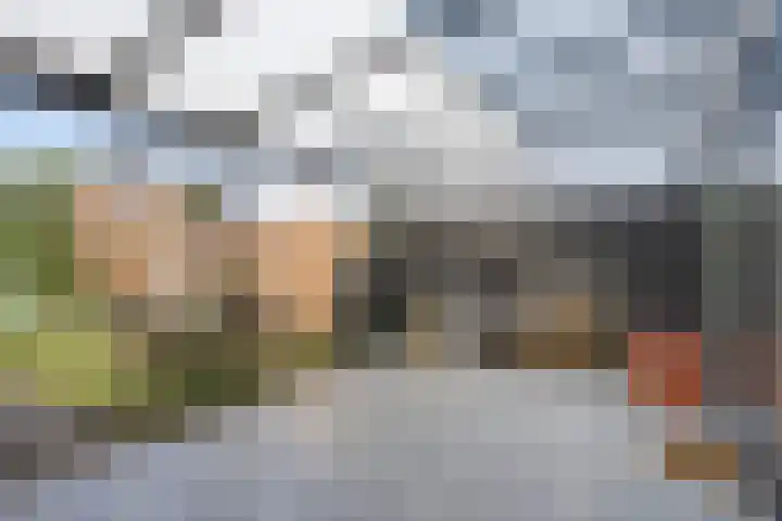 Kastanjelaan 51 Oss thumbnail 28