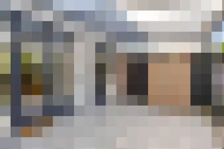 Kastanjelaan 51 Oss thumbnail 29