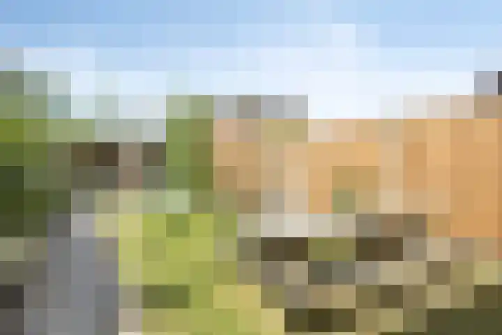 Kastanjelaan 51 Oss thumbnail 34