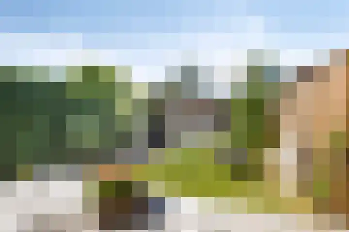 Kastanjelaan 51 Oss thumbnail 35