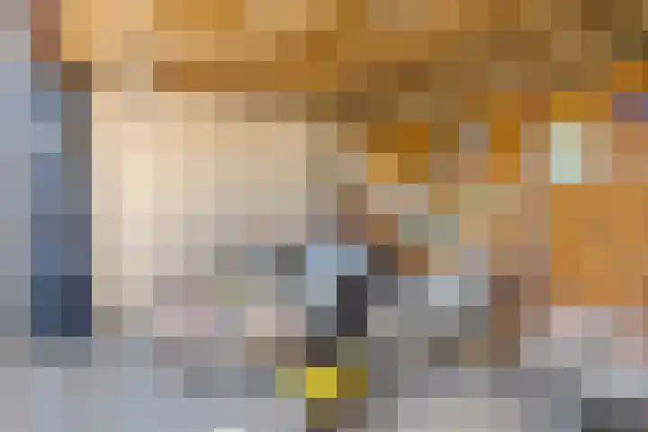 Kastanjelaan 51 Oss thumbnail 37