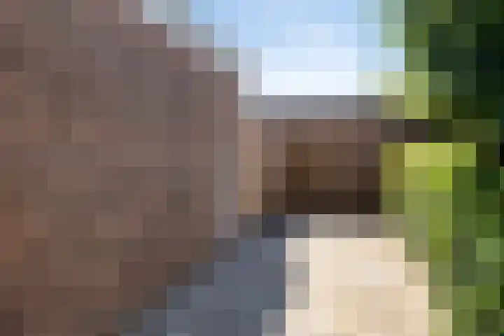 Kastanjelaan 51 Oss thumbnail 38