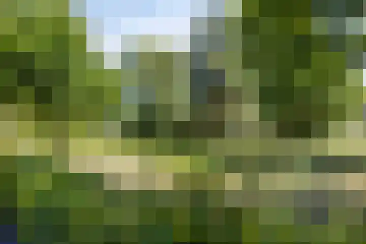 Kastanjelaan 51 Oss thumbnail 39