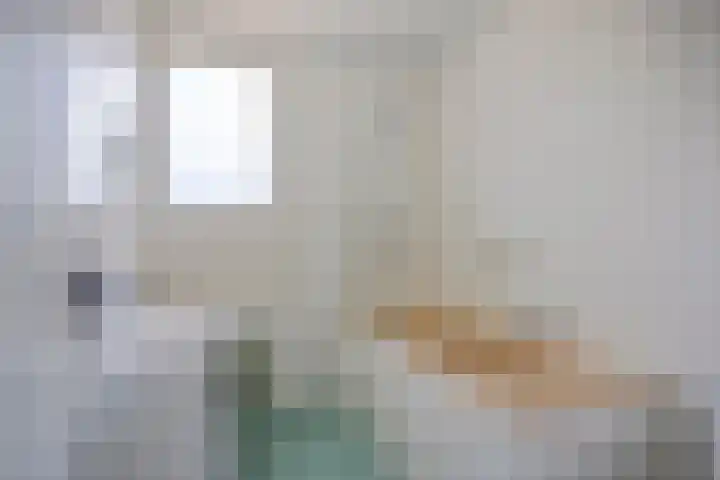 Kastanjelaan 51 Oss thumbnail 4