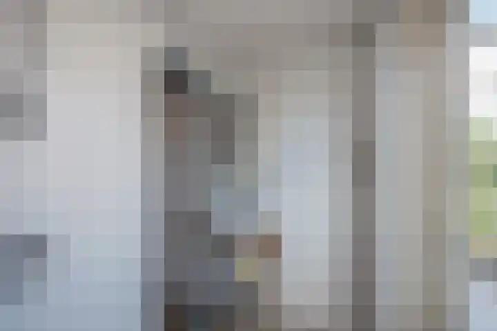 Kastanjelaan 52 Rijswijk thumbnail 16