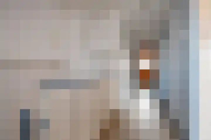 Kastanjelaan 52 Rijswijk thumbnail 17