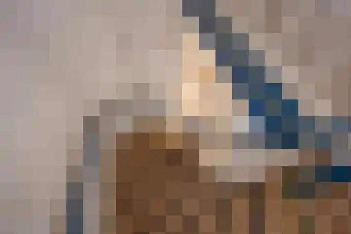 Kastanjelaan 52 Rijswijk thumbnail 20