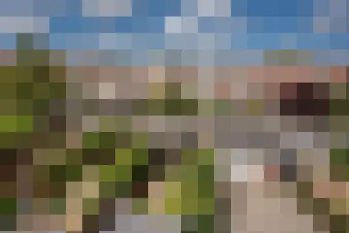 Kastanjelaan 52 Rijswijk thumbnail 23