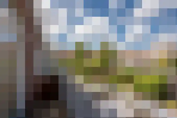Kastanjelaan 52 Rijswijk thumbnail 24