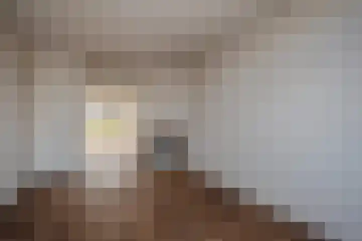 Kastanjelaan 52 Rijswijk thumbnail 4