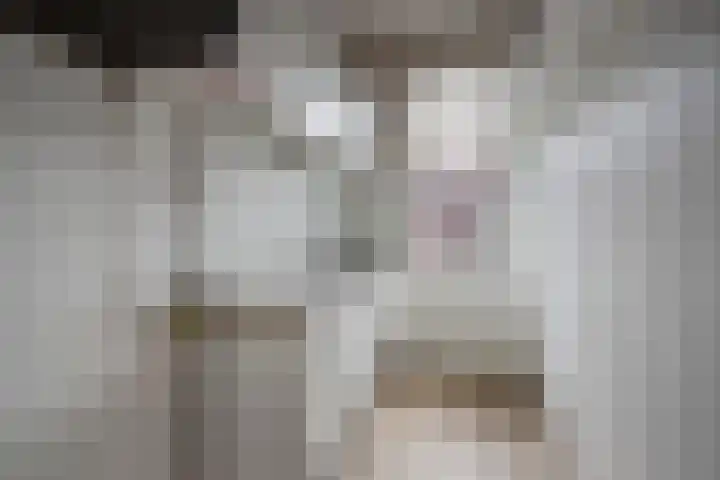 Kastanjelaan 52 Rijswijk thumbnail 9