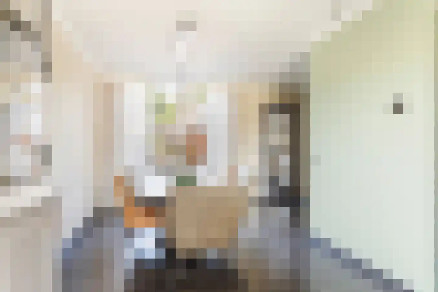 Kastanjelaan 53 Made thumbnail 13