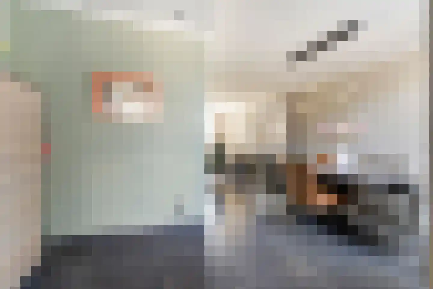 Kastanjelaan 53 Made thumbnail 16