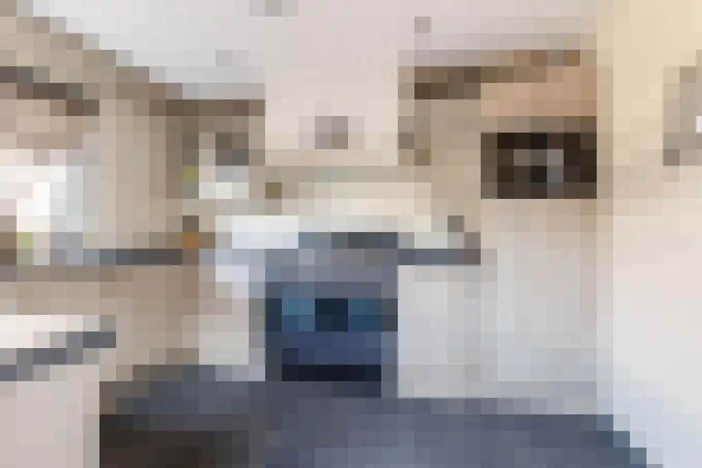 Kastanjelaan 53 Made thumbnail 19