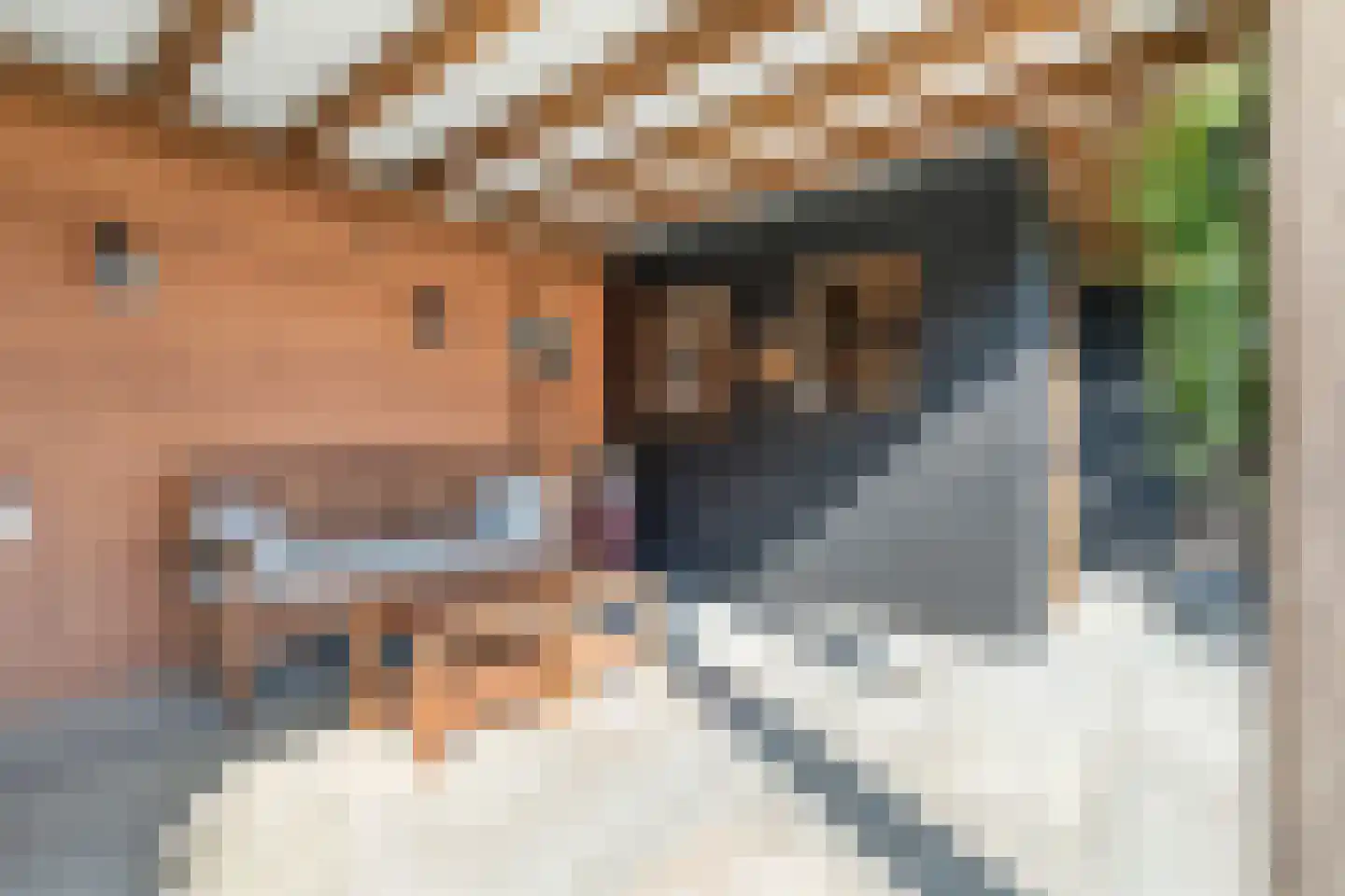 Kastanjelaan 53 Made thumbnail 32