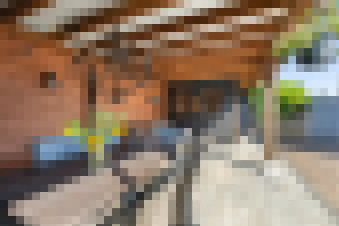 Kastanjelaan 53 Made thumbnail 33