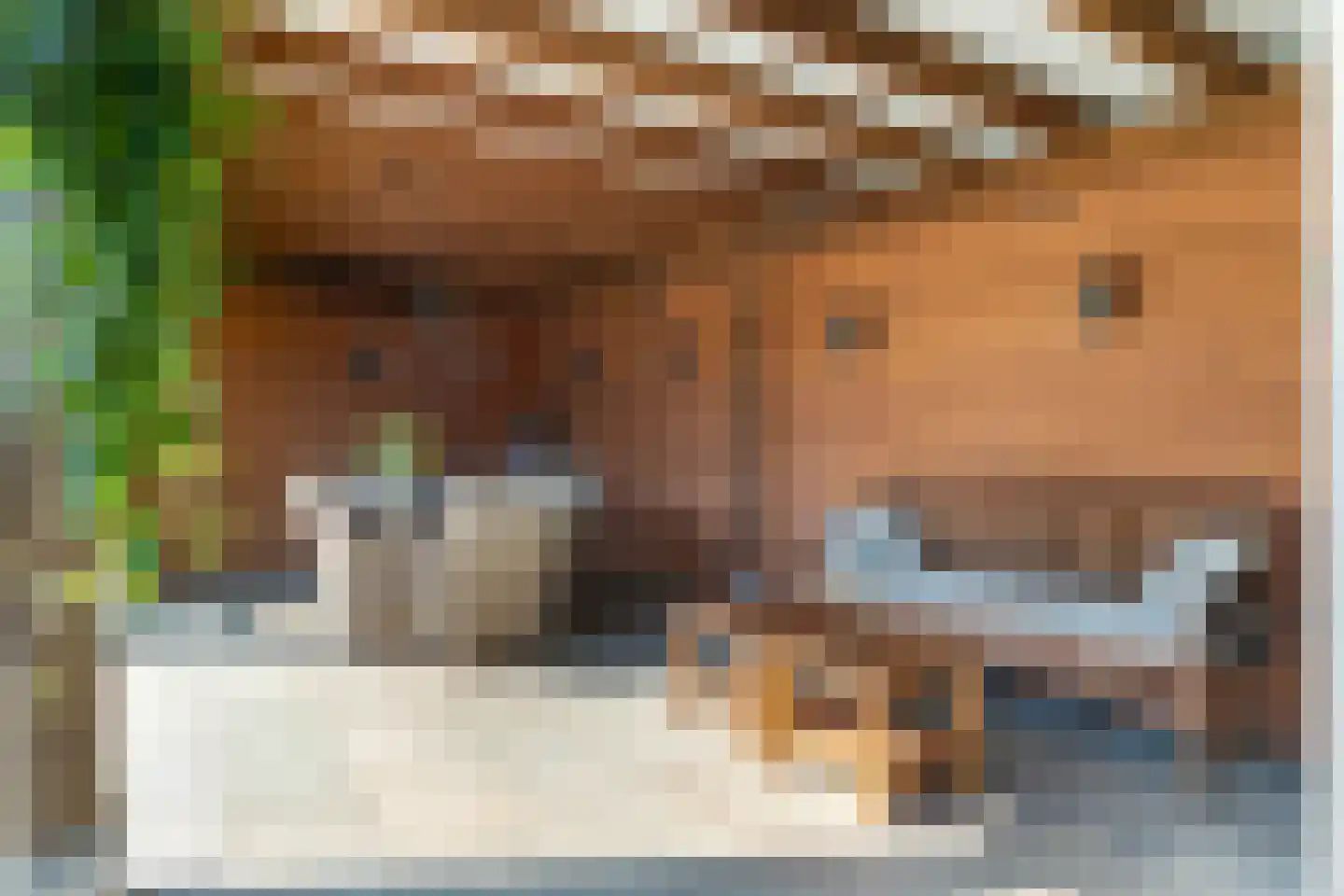 Kastanjelaan 53 Made thumbnail 34
