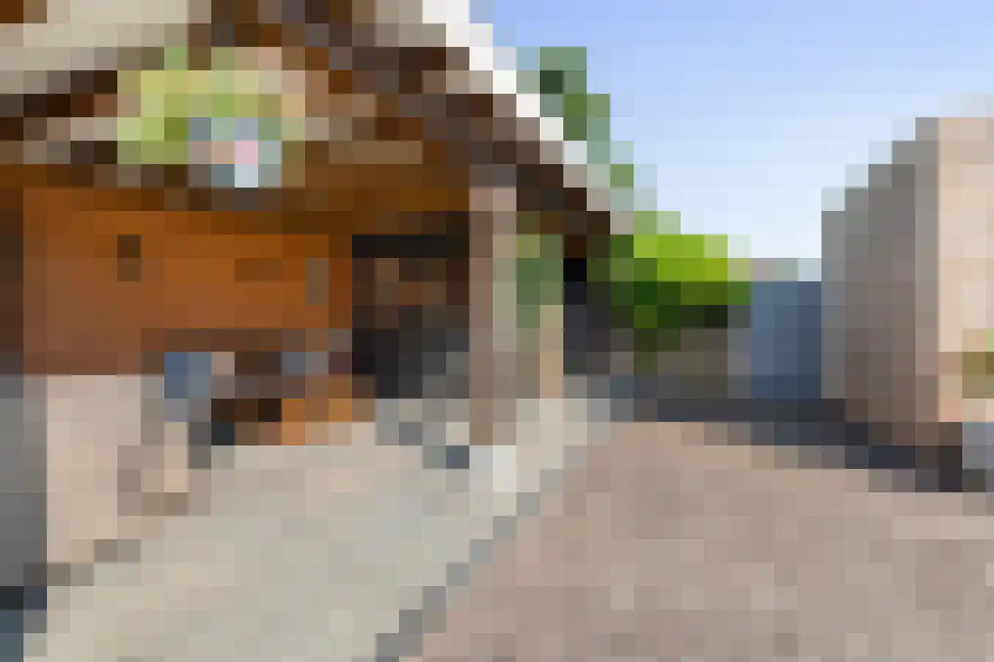 Kastanjelaan 53 Made thumbnail 4