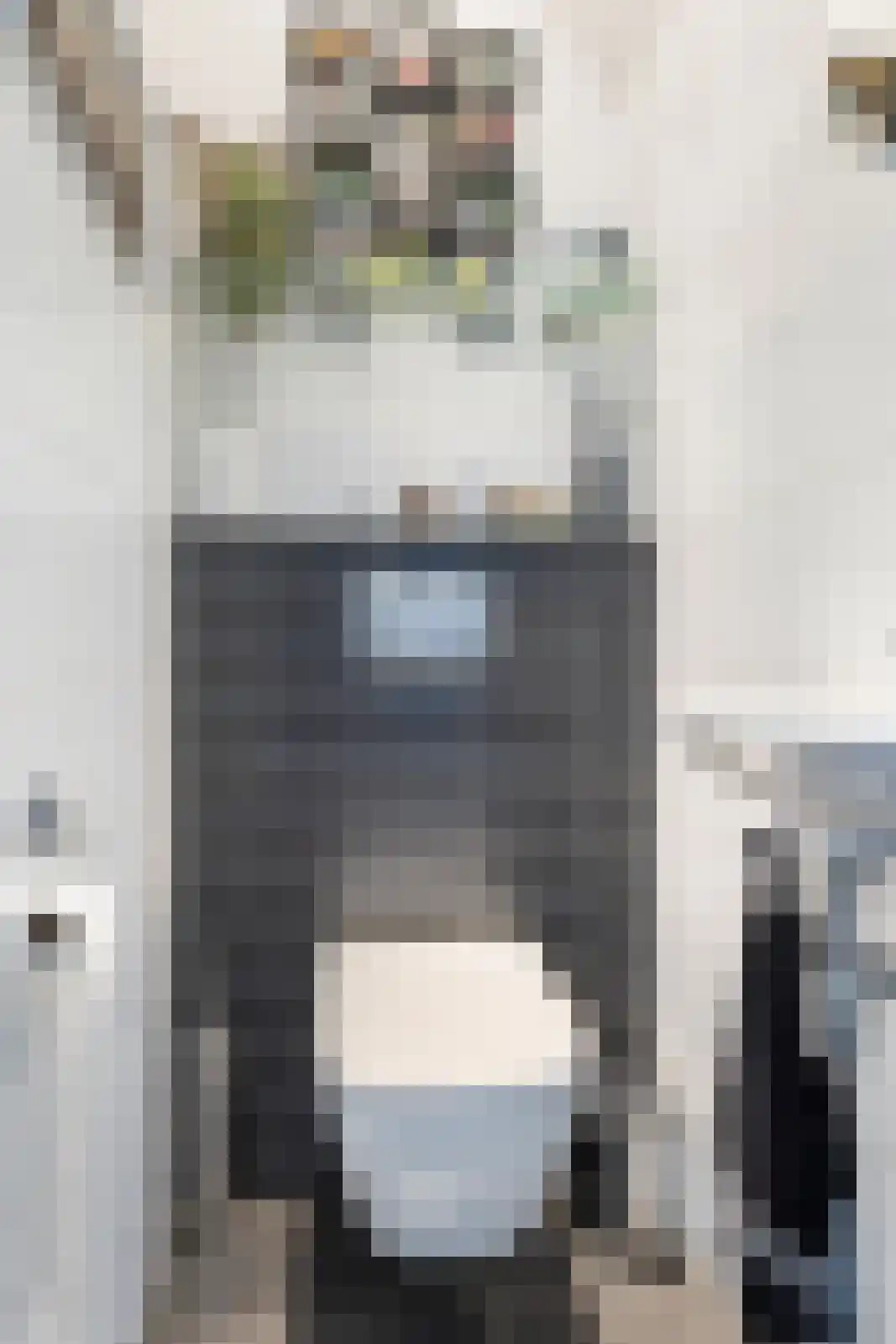 Kastanjelaan 53 Made thumbnail 7