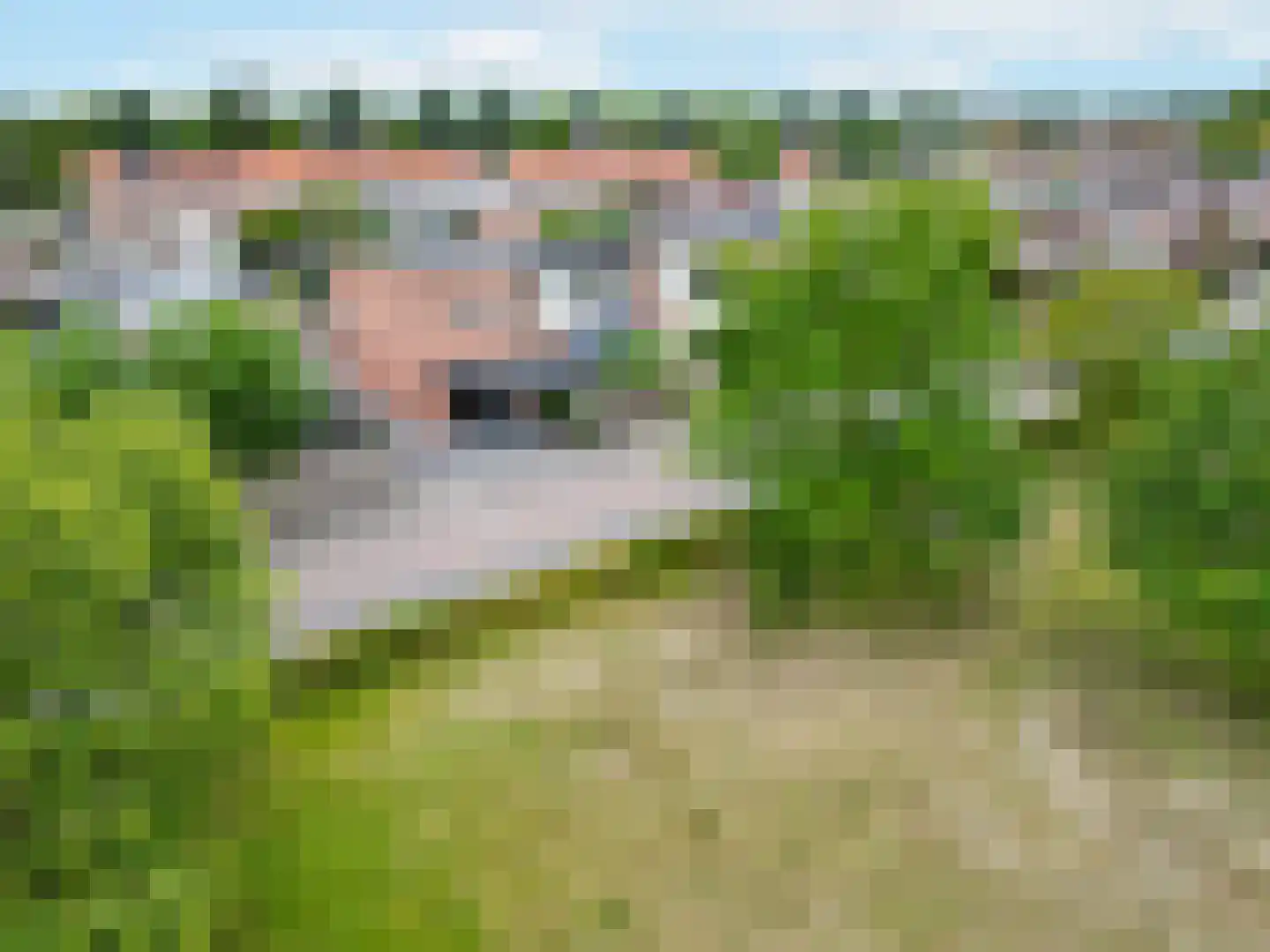 Kastanjelaan 53 Oss