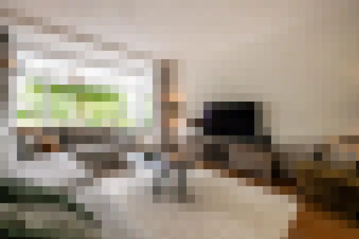 Kastanjelaan 53 Oss thumbnail 10