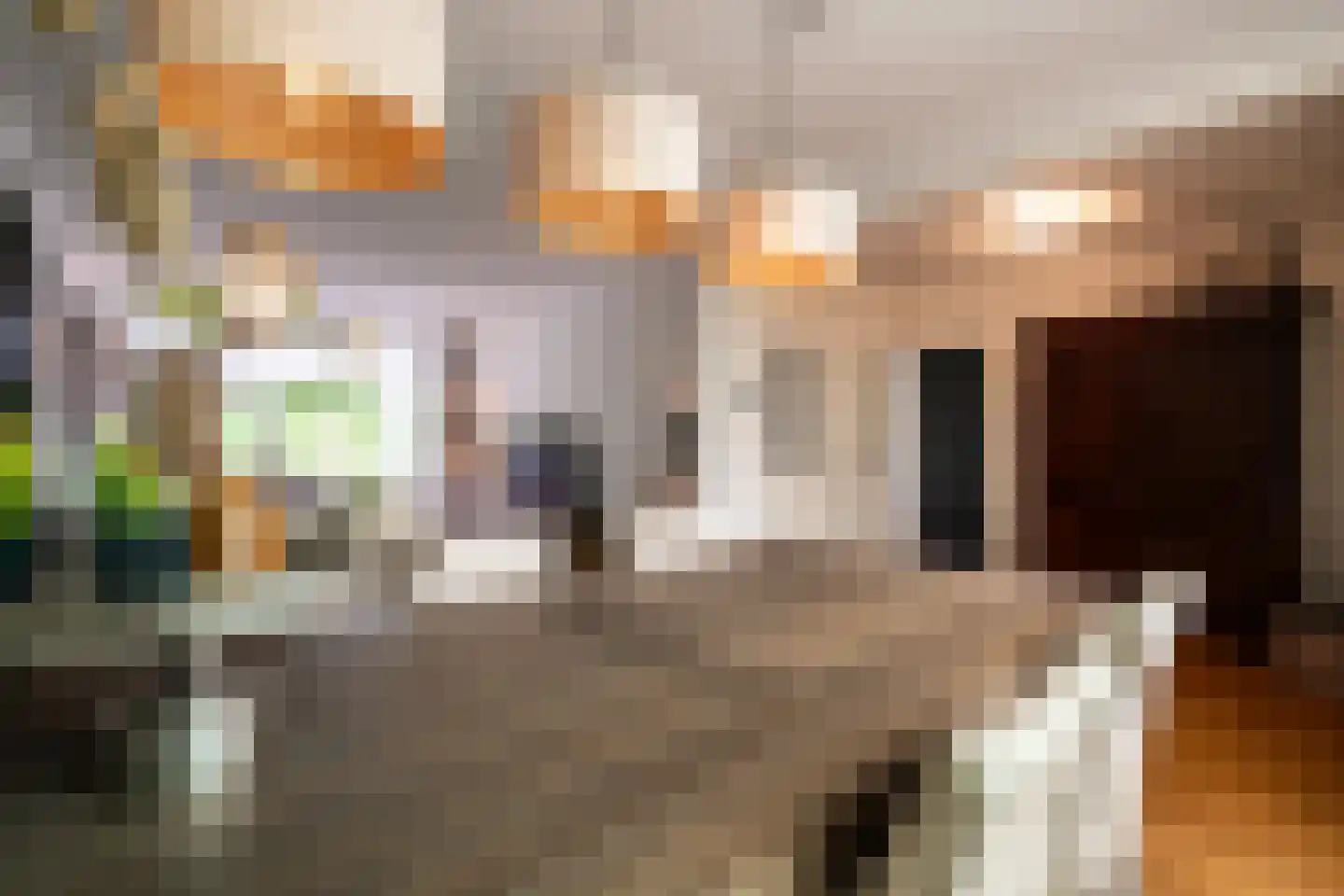 Kastanjelaan 53 Oss thumbnail 12