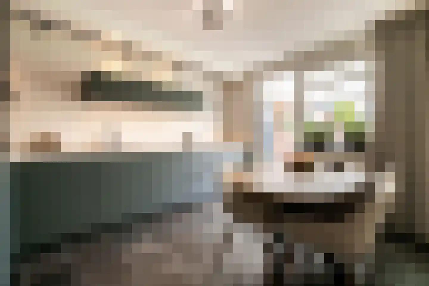 Kastanjelaan 53 Oss thumbnail 13