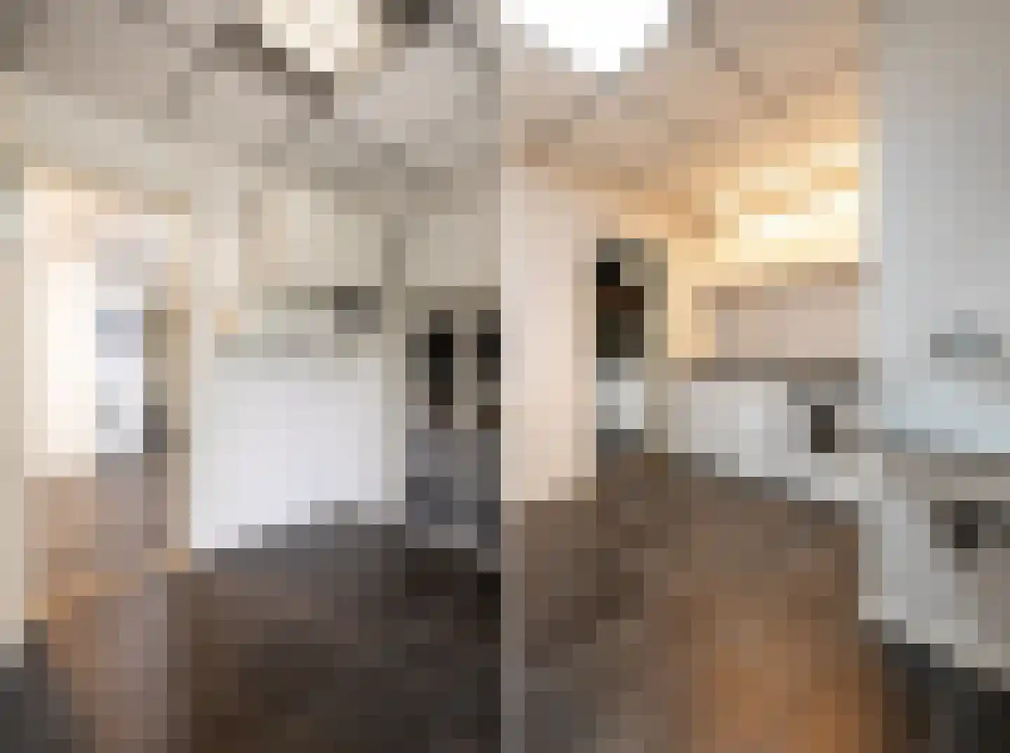 Kastanjelaan 53 Oss thumbnail 15