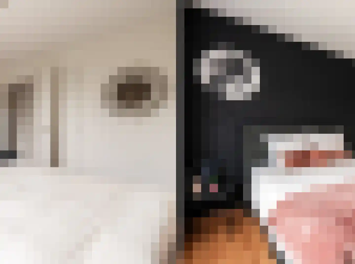 Kastanjelaan 53 Oss thumbnail 17
