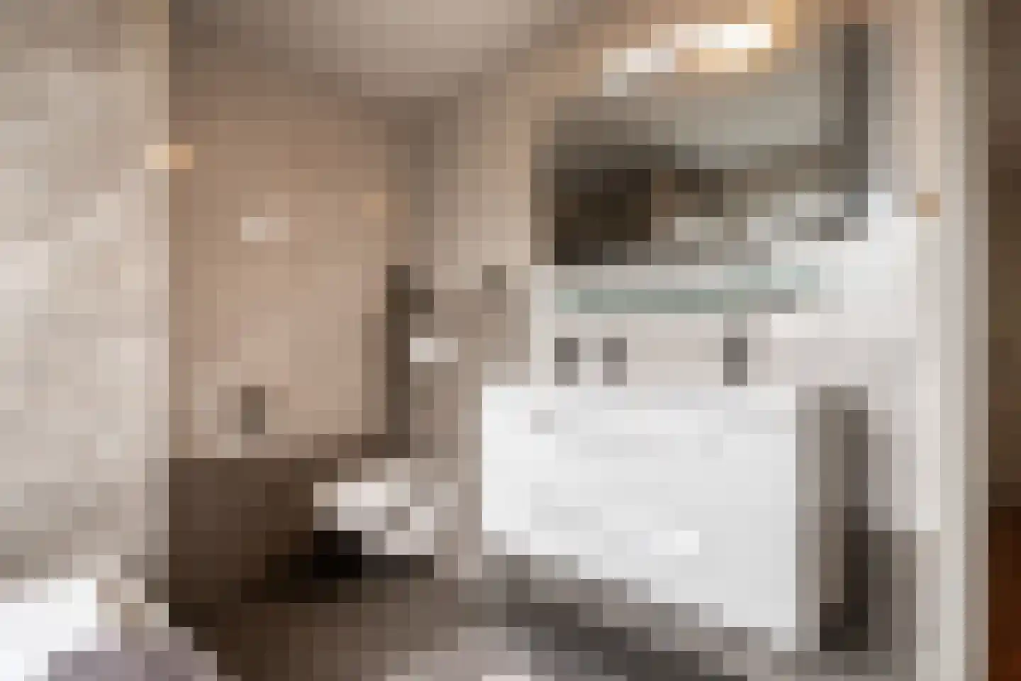 Kastanjelaan 53 Oss thumbnail 23
