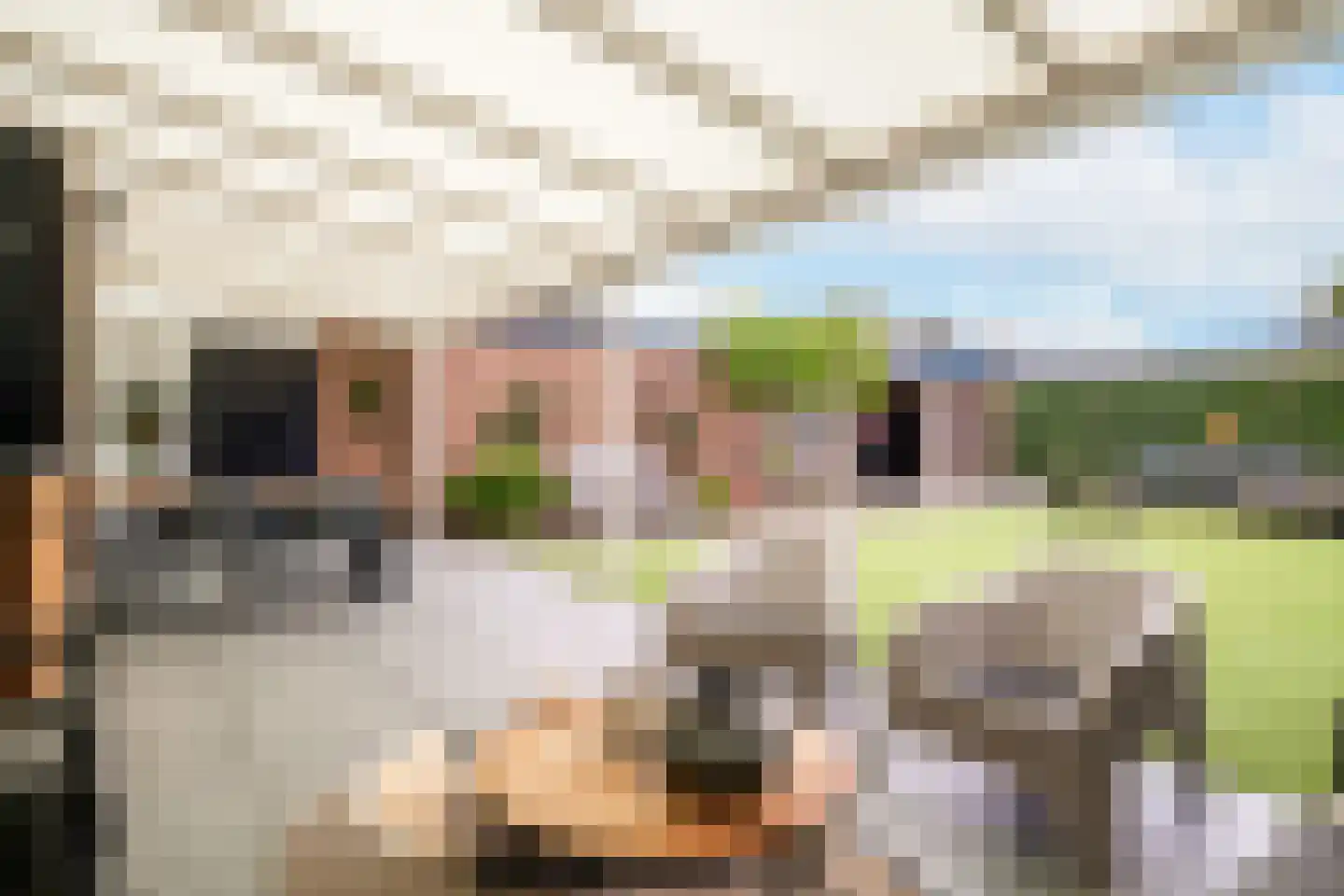 Kastanjelaan 53 Oss thumbnail 28