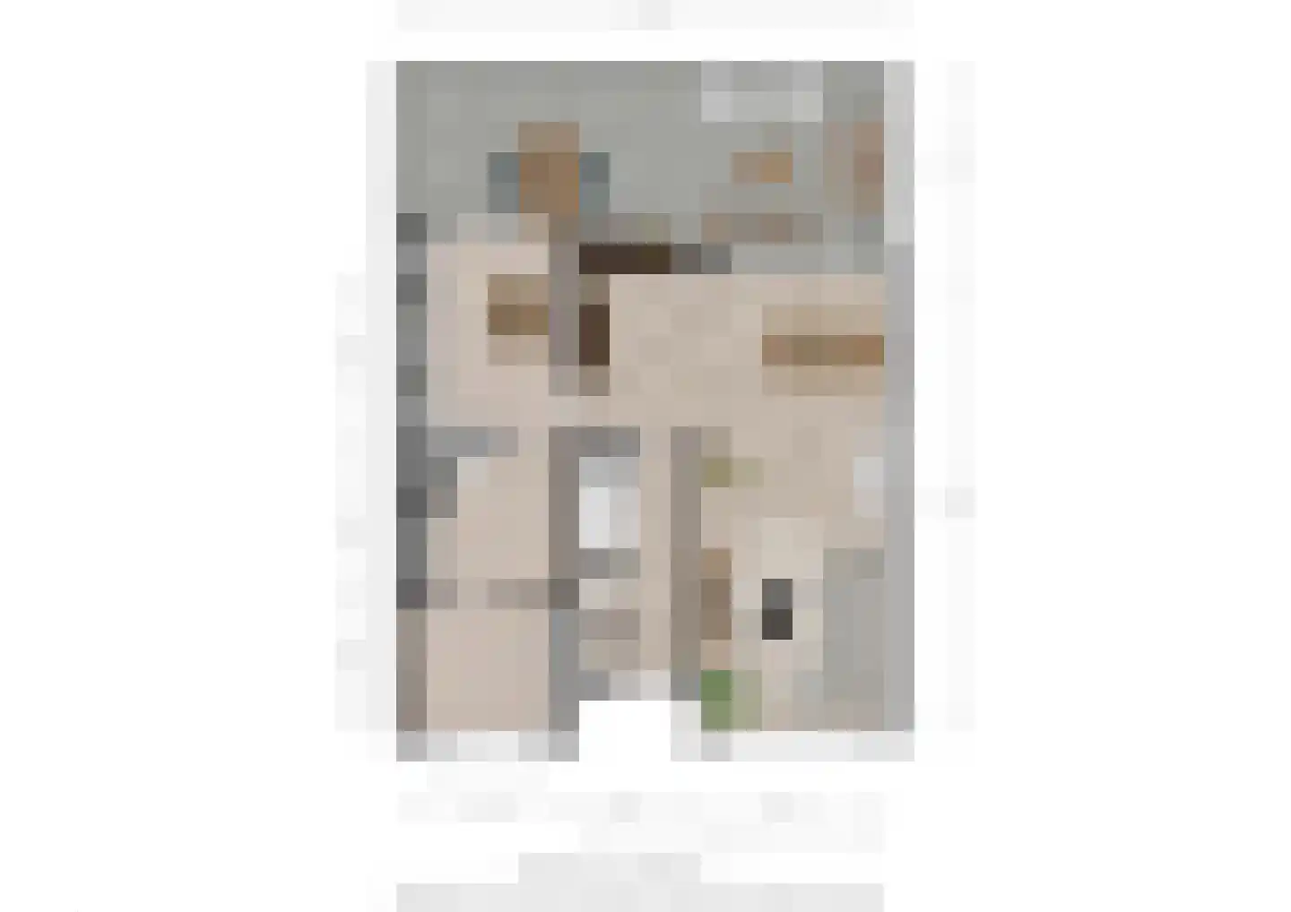 Kastanjelaan 53 Oss thumbnail 34