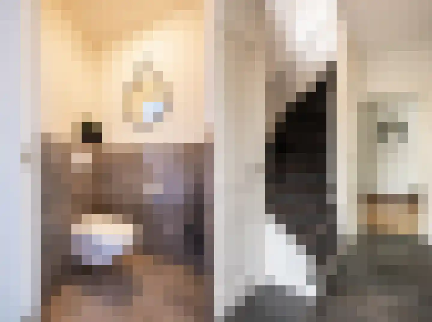 Kastanjelaan 53 Oss thumbnail 7