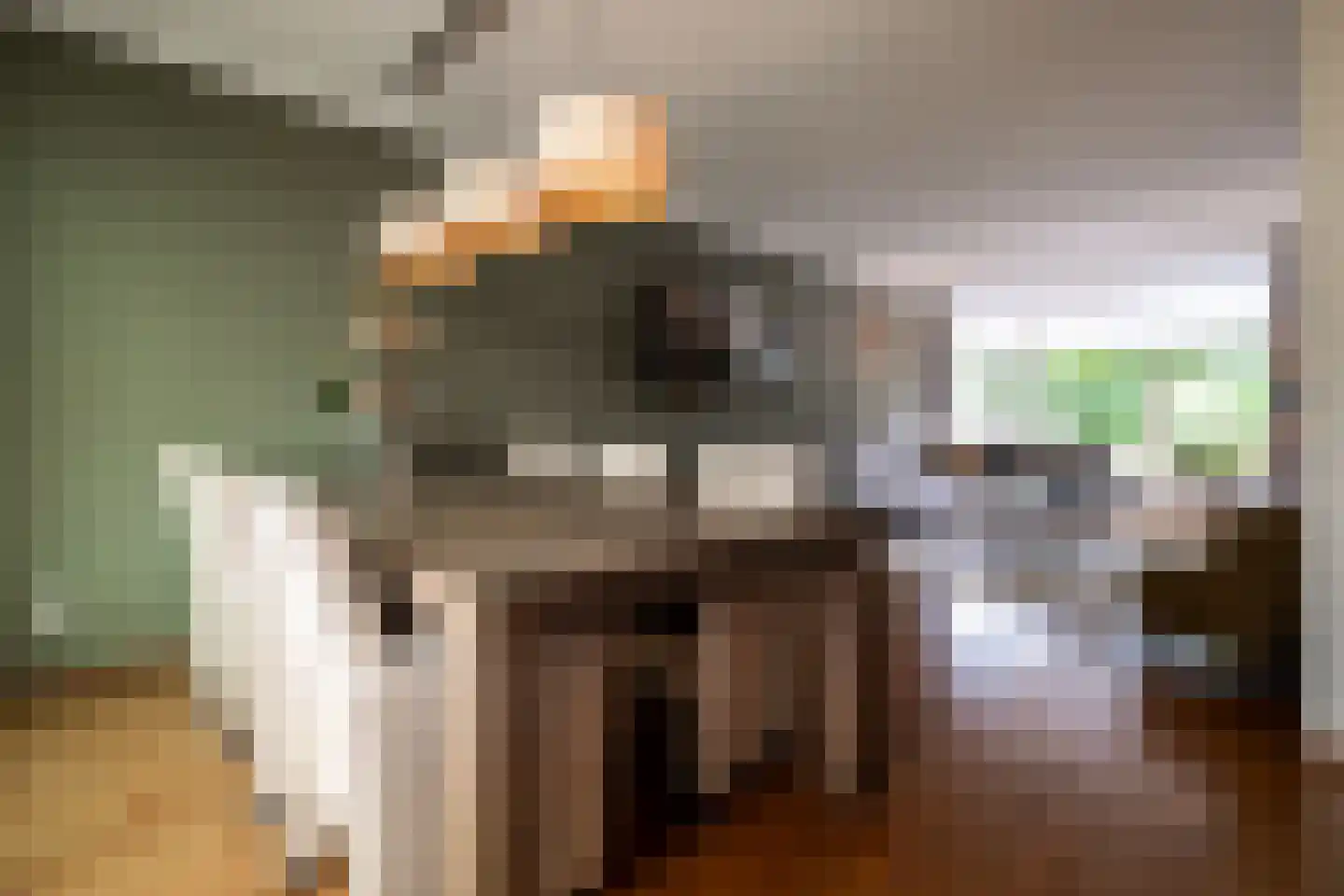 Kastanjelaan 53 Oss thumbnail 8