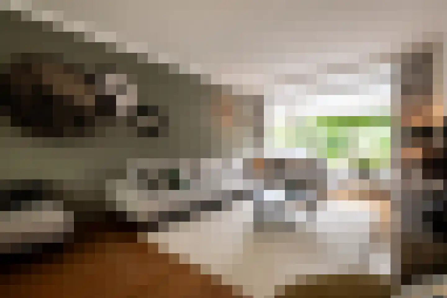 Kastanjelaan 53 Oss thumbnail 9