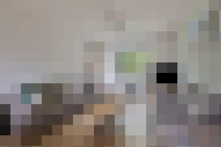 Kastanjelaan 53 Winschoten thumbnail 13