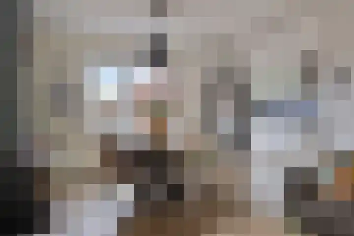 Kastanjelaan 53 Winschoten thumbnail 15