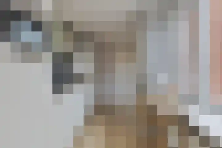 Kastanjelaan 53 Winschoten thumbnail 19
