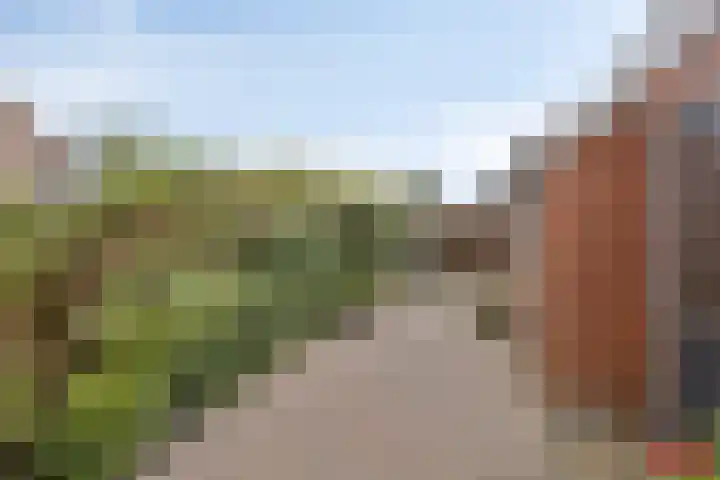 Kastanjelaan 53 Winschoten thumbnail 31