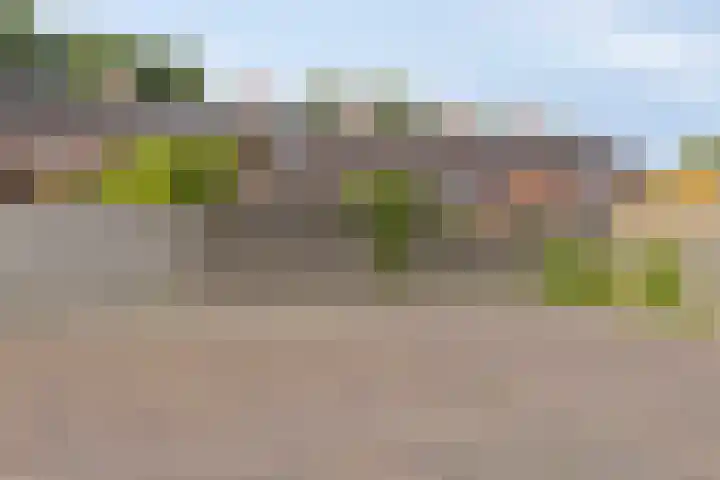 Kastanjelaan 53 Winschoten thumbnail 34