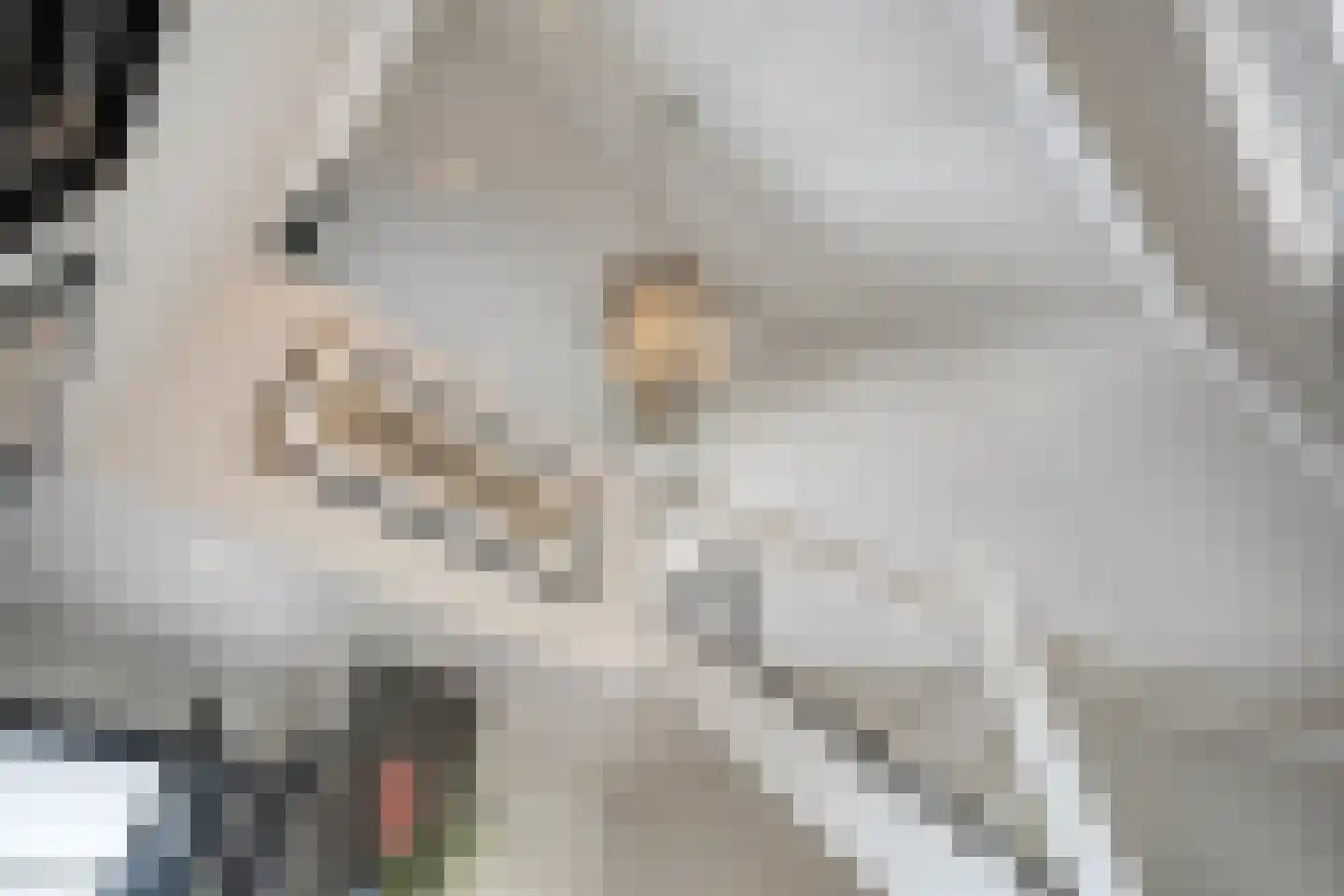 Kastanjelaan 54 Aadorp thumbnail 14