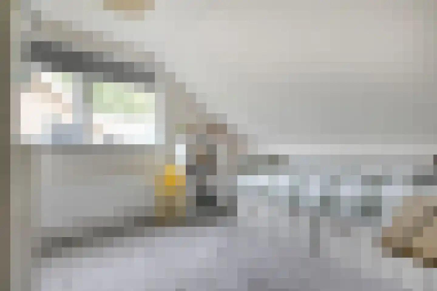 Kastanjelaan 54 Aadorp thumbnail 20