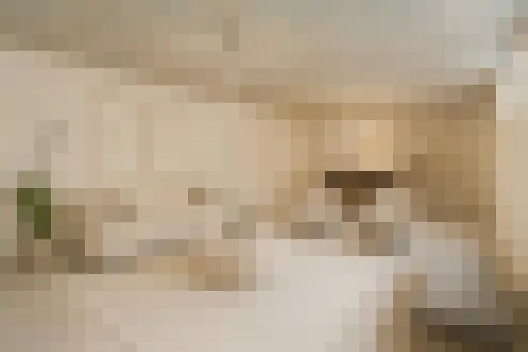 Kastanjelaan 54 Aadorp thumbnail 22