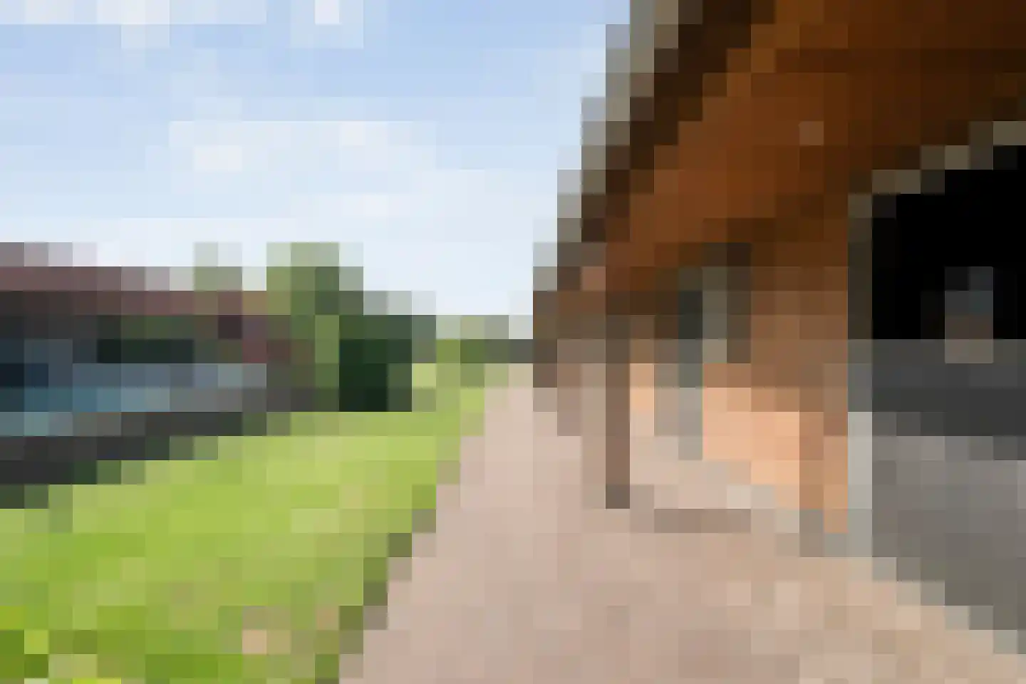 Kastanjelaan 54 Aadorp thumbnail 24
