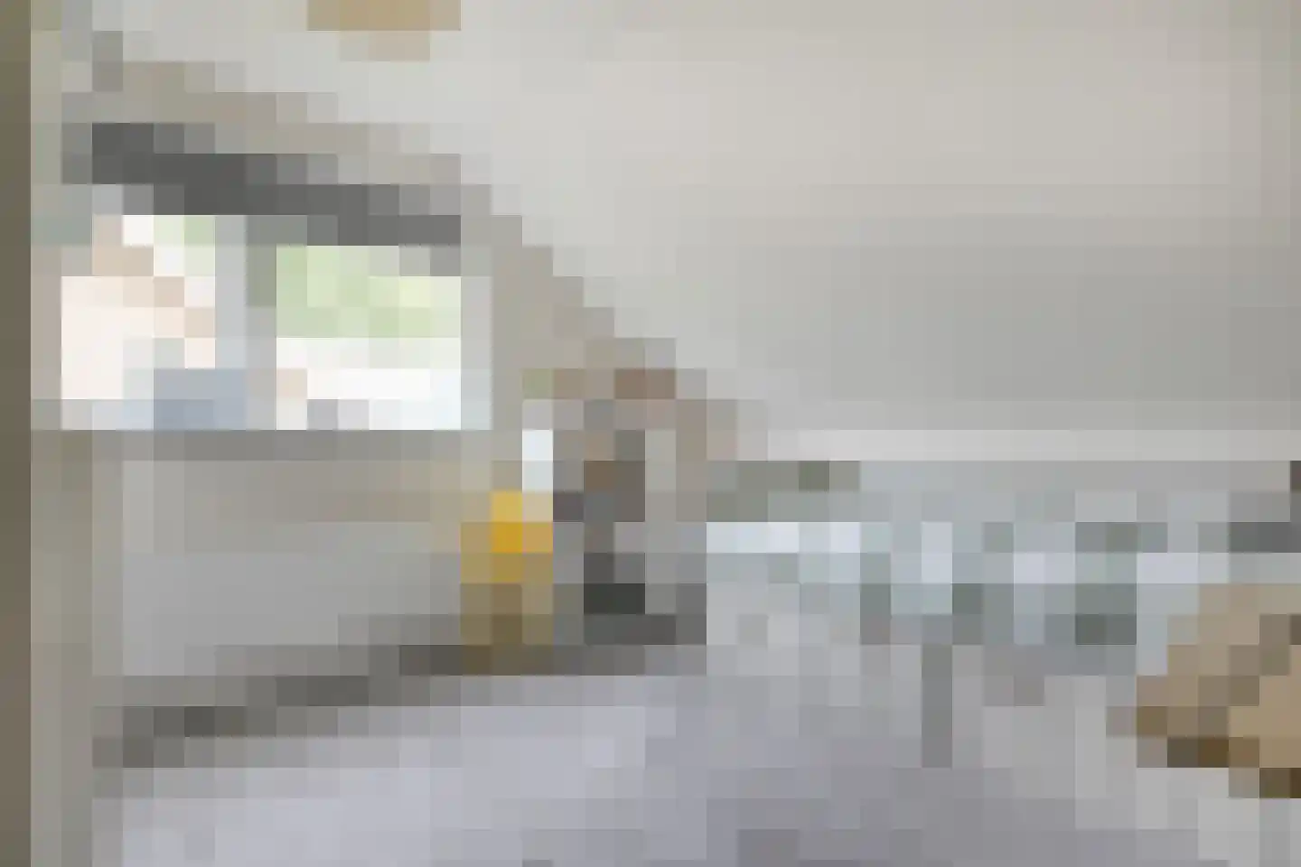 Kastanjelaan 54 Aadorp thumbnail 25