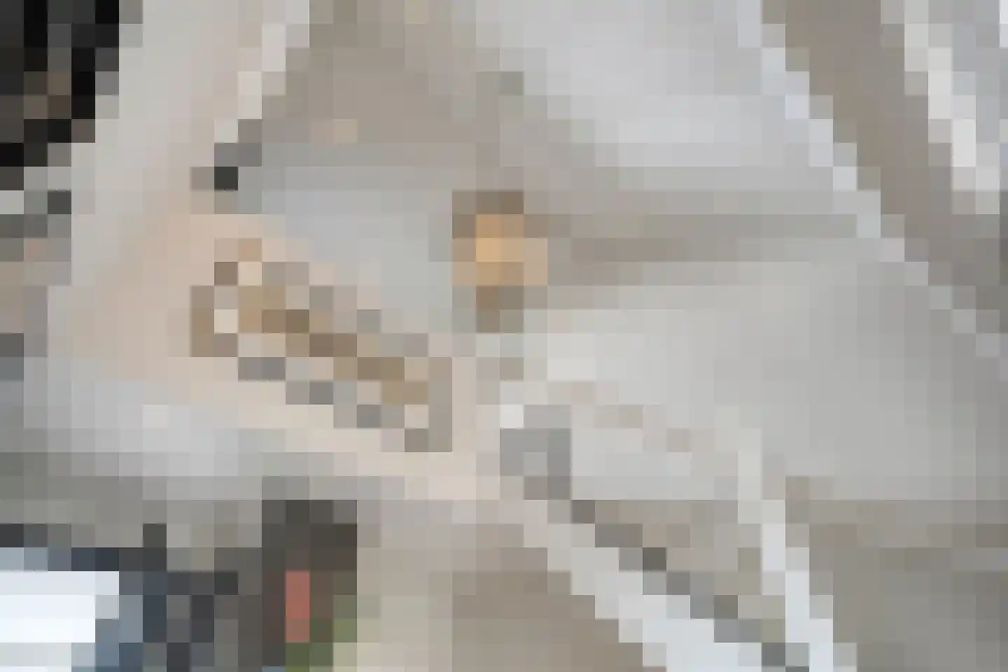 Kastanjelaan 54 Aadorp thumbnail 5