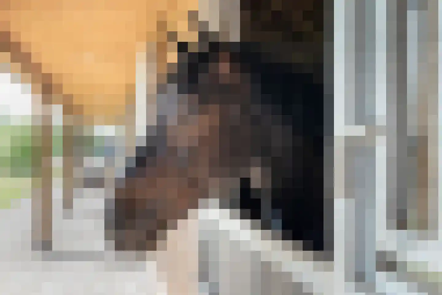Kastanjelaan 54 Aadorp thumbnail 7